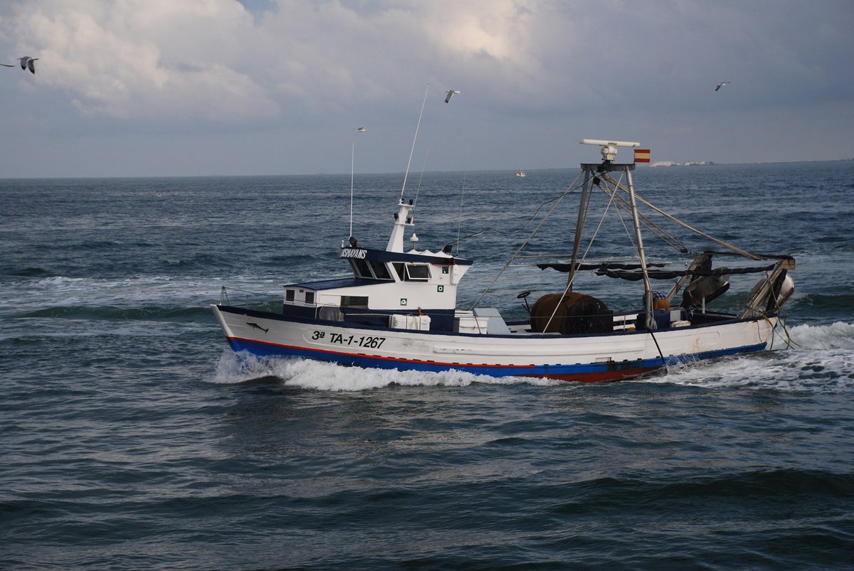 Imagen de Capitol 8 - 2003